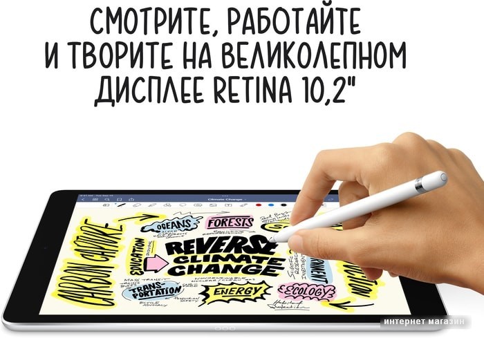 Планшет Apple iPad 10.2" 2021 256GB MK2P3 (серебристый)