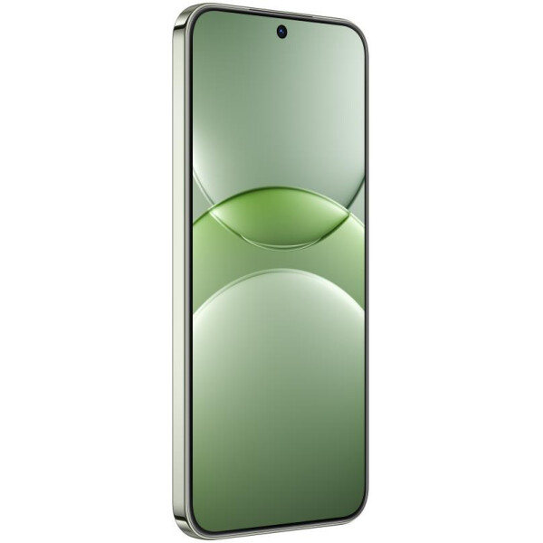 Смартфон Huawei nova 13 BLK-LX9 12GB/512GB (дымчатый зеленый)