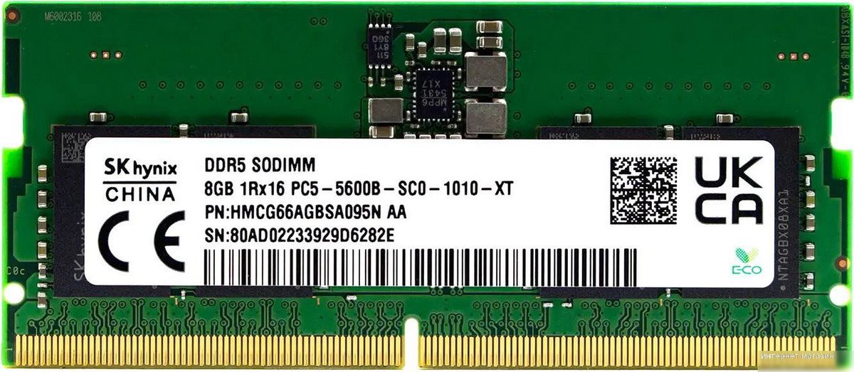 Hynix 8ГБ DDR5 5600 МГц HMCG66AGBSA095N