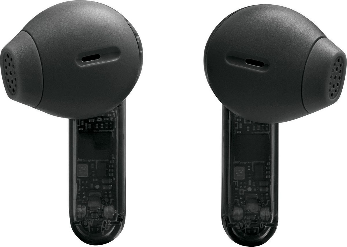 Наушники JBL Tune Flex 2 Ghost (черный)