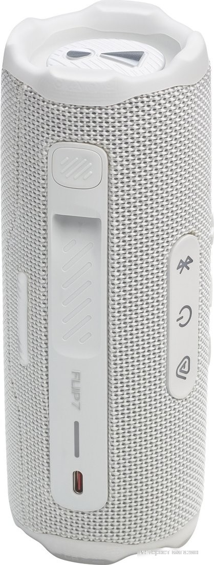 JBL Flip 7 (белый)