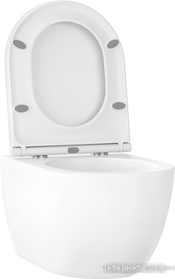 Унитаз подвесной Wellsee Chalice Perfection RimFree 182607001 (чаша, пневмокрышка, глянцевый белый)