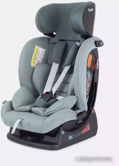 Rant Matrix Active Line AY913 (зеленый)
