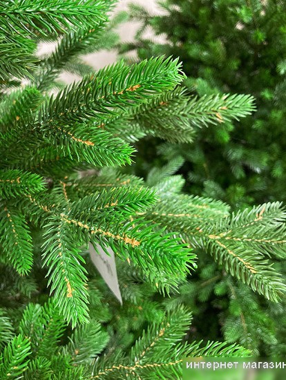 Ель GreenTerra Хаген Премиум 1.5 м