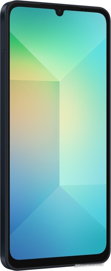 Смартфон Samsung Galaxy A06 SM-A065F 6GB/128GB (черный)