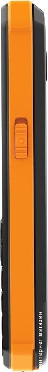 Телефон Xenium X300 (оранжевый/черный)