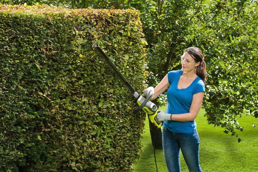 Кусторез Ryobi RHT6760RL