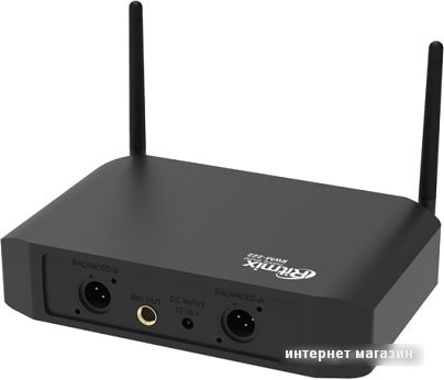 Микрофон Ritmix RWM-222