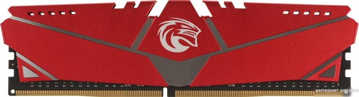 Оперативная память KingSpec Storm 32ГБ DDR4 2666 МГц KS2666D4M12032G