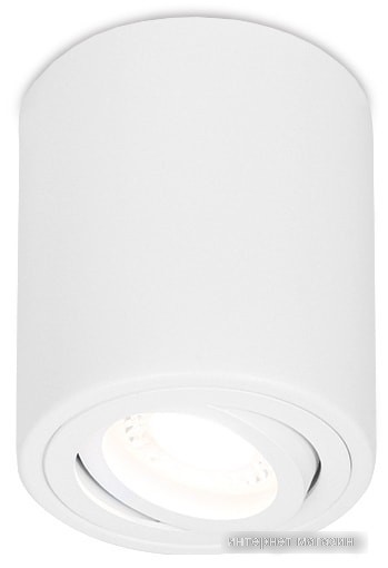 Спот Ambrella light TN225 WH