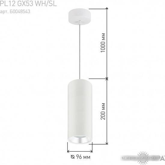 Точечный светильник ЭРА PL12 GX53 WH/SL Б0048543