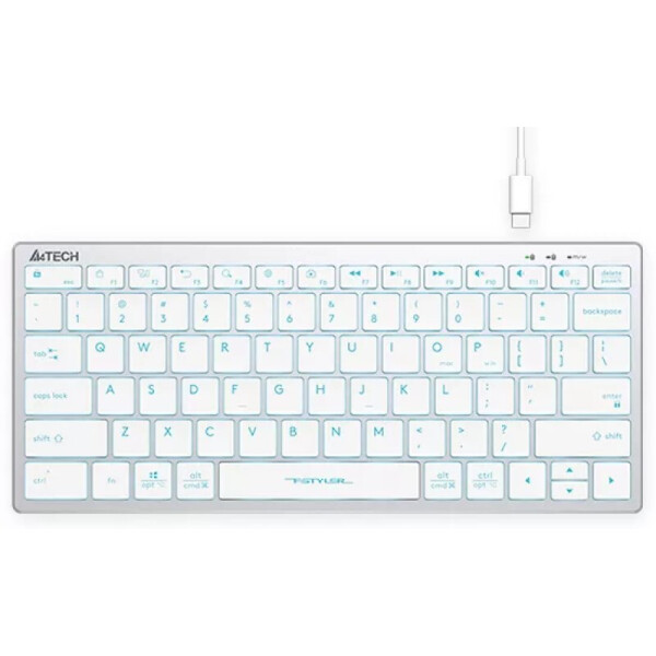 Клавиатура A4Tech Fstyler FX61 (серебристый/белый)
