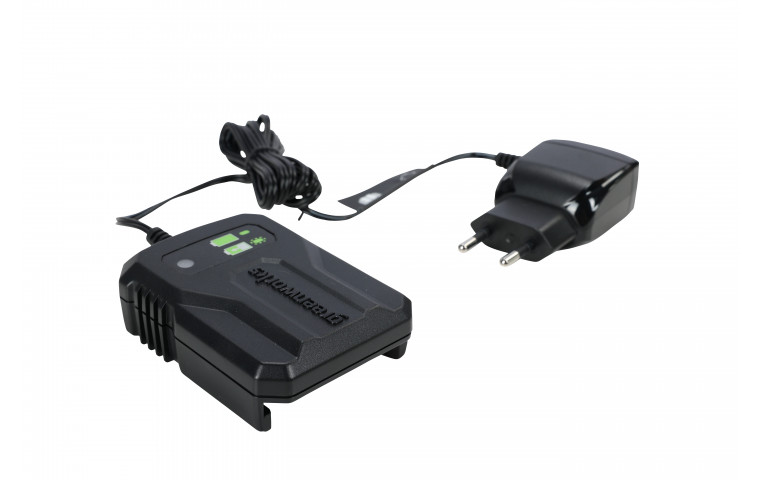 Зарядное устройство Greenworks G40UCM2M (40В)
