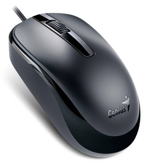 Мышь Genius DX-120 (черный)