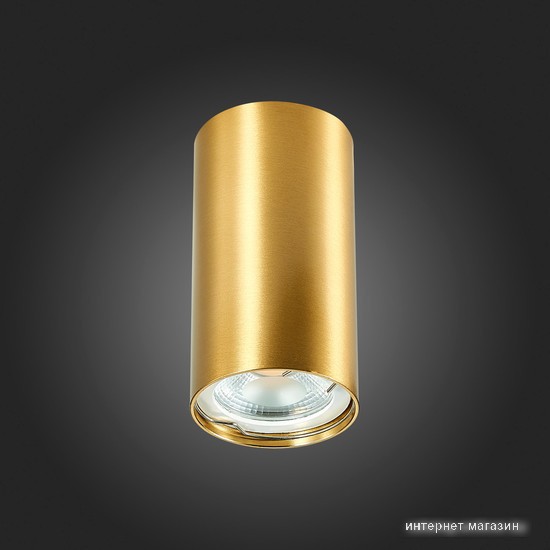 Подвесная люстра ST Luce ST110.207.01