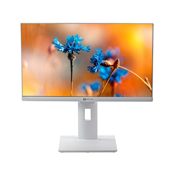 Моноблок ТЕСЛА P24WP 2416500