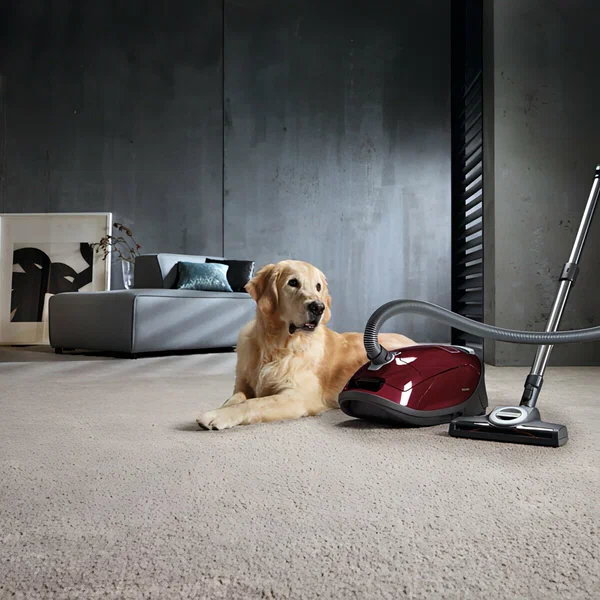Пылесос Miele Complete C3 Cat & Dog Flex SGEF5 (оранжевый)