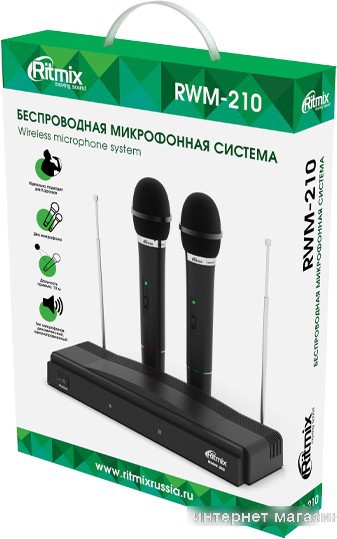 Микрофон Ritmix RWM-210