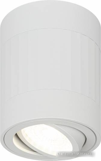 Спот ЭРА OL34 WH MR16 GU10 Б0056382