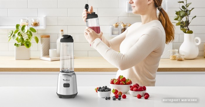 Стационарный блендер Moulinex Mix&Move LM15FD10