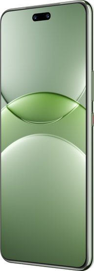Смартфон Huawei nova 13 Pro MIS-LX9 12GB/512GB (дымчатый зеленый)