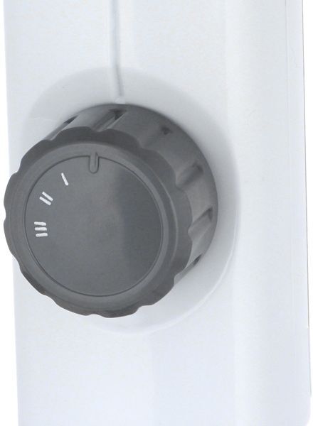 Вентилятор Electrolux EFF-1003D