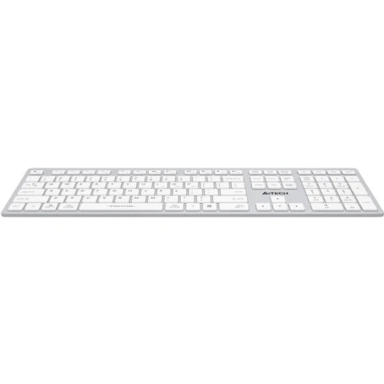 Клавиатура A4Tech Fstyler FBX50C (серебристый/белый)