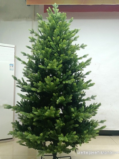 Ель GreenTerra Ванкувер 2.4 м