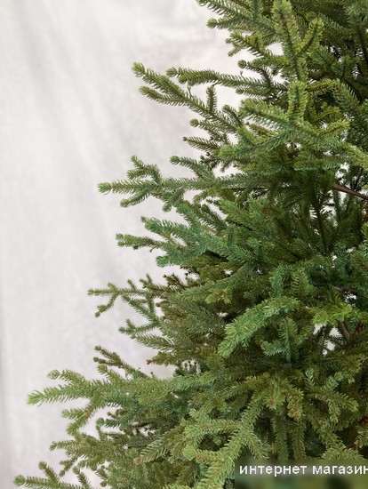 Ель GreenTerra Вилтони 2.1 м