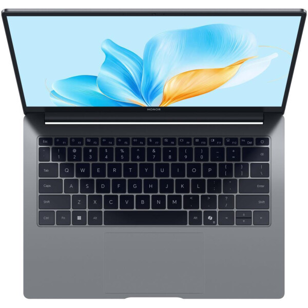 Ноутбук HONOR MagicBook X14 2025 FRG-X 5301ALWJ