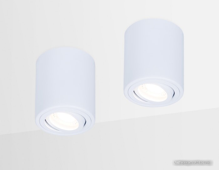 Спот Ambrella light TN225 WH