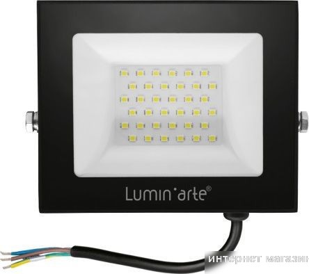 Уличный прожектор Luminarte LFL-50W/06