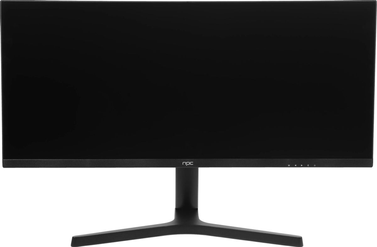 Монитор NPC MZ300L