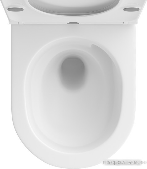 Унитаз подвесной Wellsee Chalice Perfection RimFree 182608001 (чаша, пневмокрышка, матовый белый)