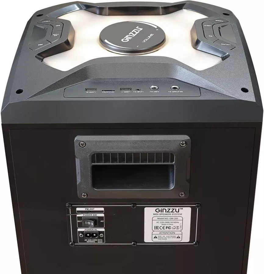 Колонка для вечеринок Ginzzu GM-203