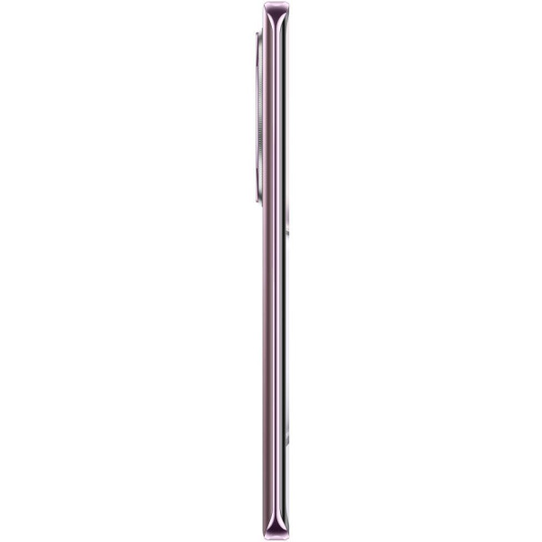 Смартфон HONOR X9c 8GB/256GB (титановый фиолетовый)