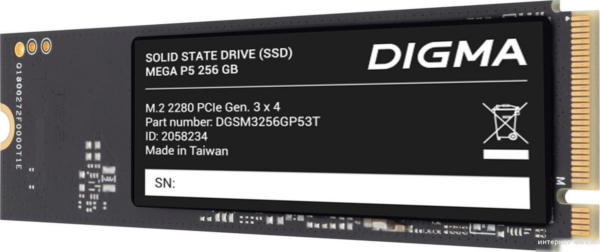 SSD Digma Mega P5 256GB DGSM3256GP53T