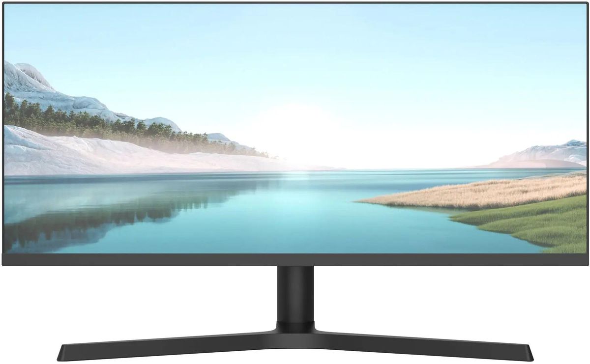 Монитор NPC MZ300L