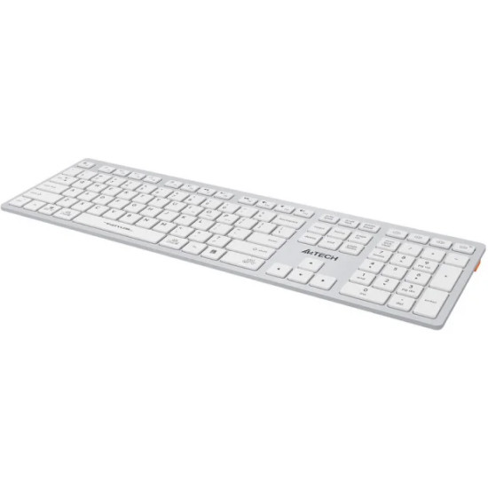 Клавиатура A4Tech Fstyler FBX50C (серебристый/белый)