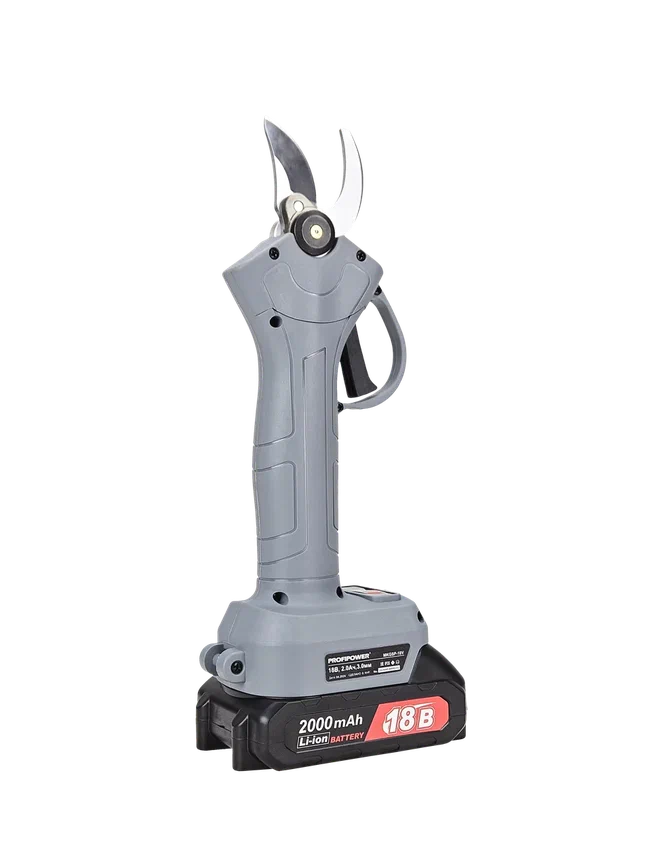 Profipower MKGSP-18V (с 2-мя АКБ, кейс)
