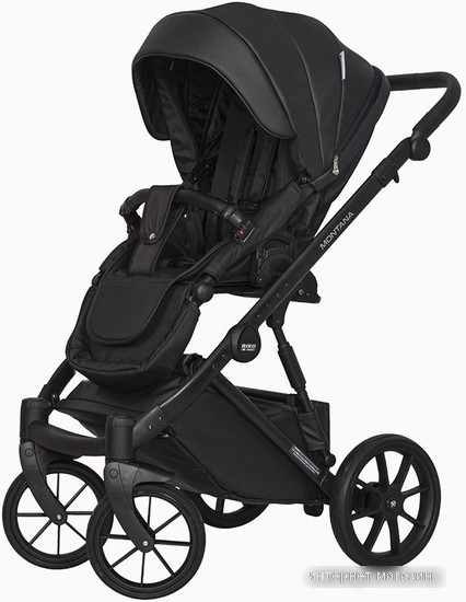 Универсальная коляска Riko Basic Montana Ecco (3 в 1, 12/черный)