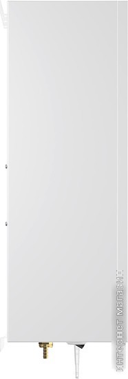 Отопительный котел Thermex Tesla 12-24 Wi-Fi