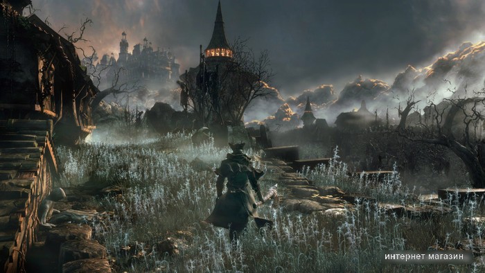 Игра Bloodborne: Порождение крови для PlayStation 4