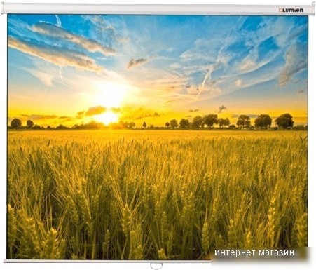 Проекционный экран Lumien Eco Picture 183x244 LEP-100114