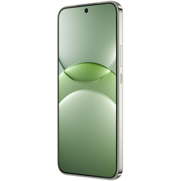 Смартфон Huawei nova 13 BLK-LX9 12GB/512GB (дымчатый зеленый)