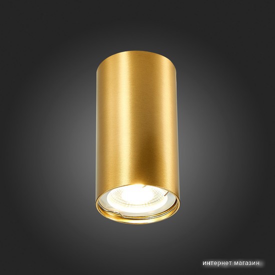 Подвесная люстра ST Luce ST110.207.01