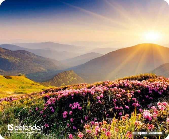 Коврик для мыши Defender Silk Pad Nature (50707)
