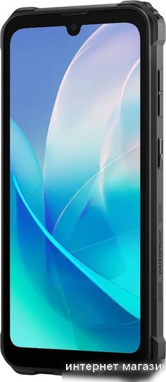 Смартфон Blackview BV5300 Plus (черный)