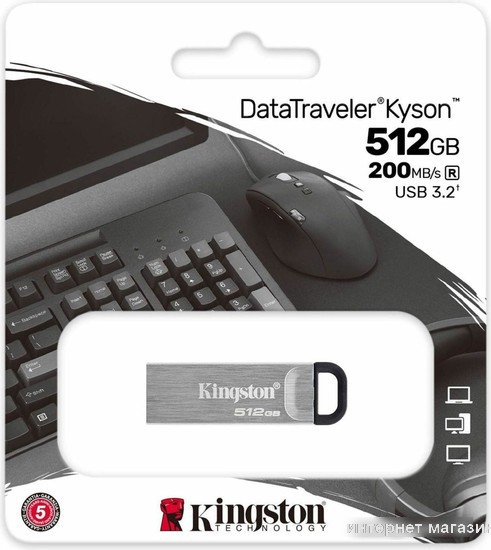 USB Flash Kingston Kyson 512GB