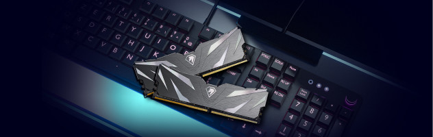 Оперативная память Netac Shadow II 2x8ГБ DDR5 4800 МГц NTSWD5P48DP-16K